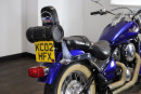 2002 Kawasaki VN800 for sale