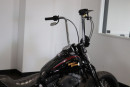 2008 Harley-Davidson Cross Bones FLSTSB for sale