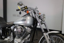 2005 Harley-Davidson Softail Standard for sale