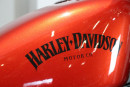 2013 Harley-Davidson XL883 N Iron for sale